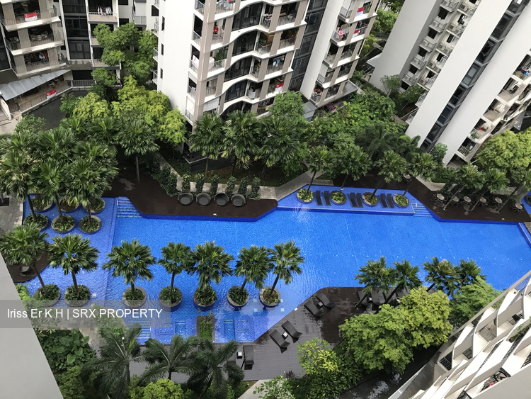 River Isles (D19), Condominium #242913451